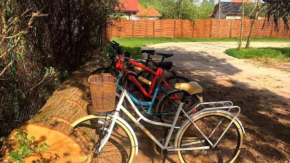 Miodowy Zakatek Caloroczne Domki I Pokoje Przy Suntago, Deepspot, Pyszne Sniadania, Grill, Ognisko Mszczonów Extérieur photo