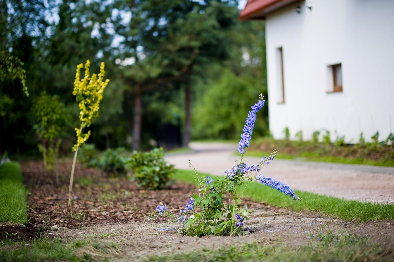 Miodowy Zakatek Caloroczne Domki I Pokoje Przy Suntago, Deepspot, Pyszne Sniadania, Grill, Ognisko Mszczonów Extérieur photo