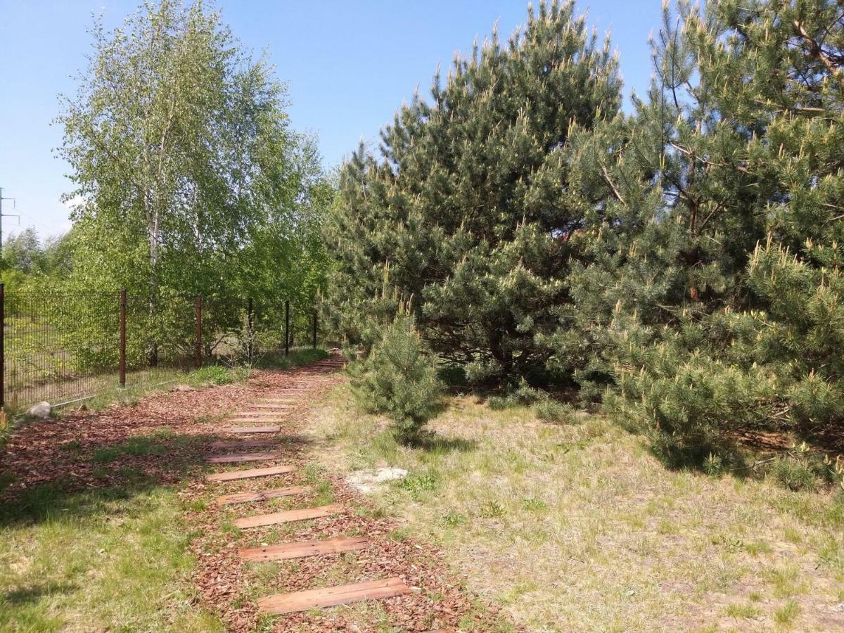 Miodowy Zakatek Caloroczne Domki I Pokoje Przy Suntago, Deepspot, Pyszne Sniadania, Grill, Ognisko Mszczonów Extérieur photo
